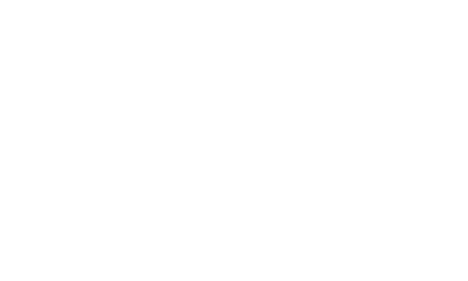 Stew Leonard's